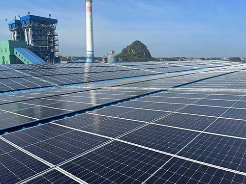 迎 風(fēng) 追 光 向 綠 而行